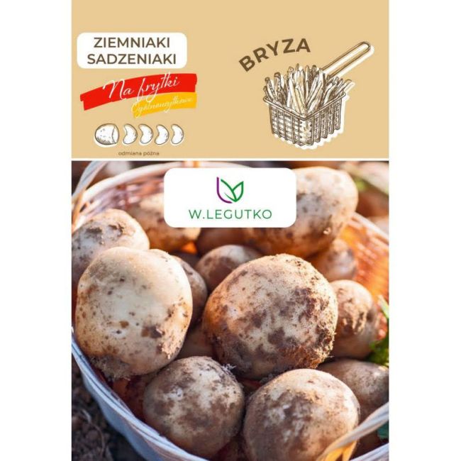 Sadbové brambory - Bryza - Cibule a oddenky - W. Legutko Sadbové brambory - Bryza - Cibule a oddenky - W. Legutko