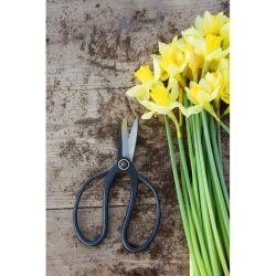 Zahradnické nůžky - Zahradní doplňky - W. Legutko