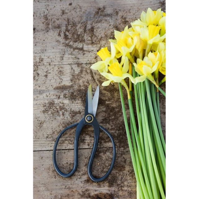 Zahradnické nůžky