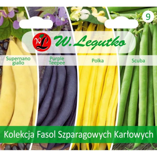 Kolekce trpasličích zelených fazolí - 4 odrůdy - Outlet - W. Legutko Kolekce trpasličích zelených fazolí - 4 odrůdy - Outlet - W. Legutko