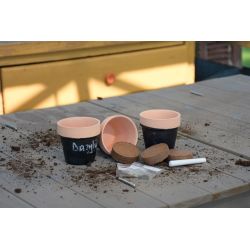 Terakotové křídové květináče s bylinkami - Zahradní doplňky - W. Legutko Terakotové křídové květináče s bylinkami - Zahradní doplňky - W. Legutko