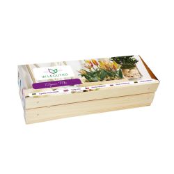 Tulipánová krabička - mix - 5 ks. - Cibule a oddenky - W. Legutko Tulipánová krabička - mix - 5 ks. - Cibule a oddenky - W. Legutko