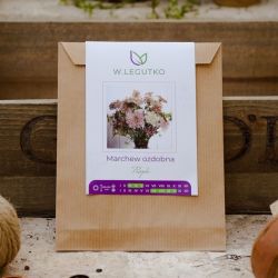 Fialová okrasná mrkev - Semena - W. Legutko