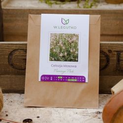 Celosia Flamingo Pink - Semena - W. Legutko