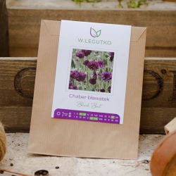 Chrpa černá koule - Semena - W. Legutko