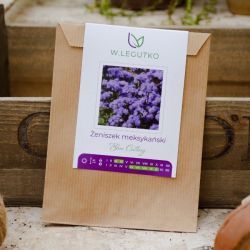 Mexický modrořezný ženšen - Semena - W. Legutko