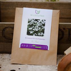 Řebříček perlový - Semena - W. Legutko