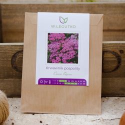 Řebříček řebříčkový - Semena - W. Legutko