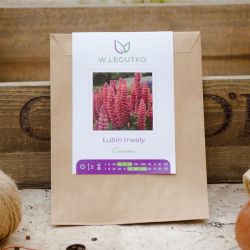 Vytrvalá zahradní lupina Carmine - Semena - W. Legutko