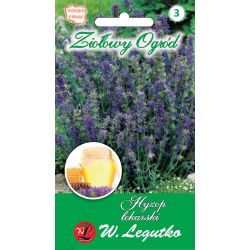 Yzop - léčivý - Semena - W. Legutko