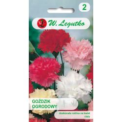 Zahradní karafiát - směs - Semena - W. Legutko