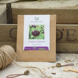 Driakiew, Deep Purple Widow - Semena - W. Legutko