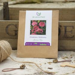 Driakiew, vdova lososová růže - Semena - W. Legutko