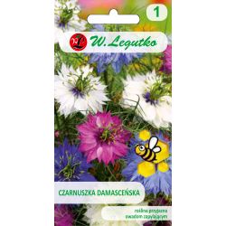 Damašský černý kmín - směs - Semena - W. Legutko