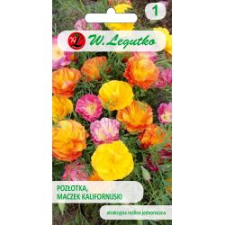 Mák, kalifornský mák - mix - Semena - W. Legutko