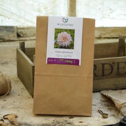 Zahradní dahlia Cafe au Lait Twist - Cibule a oddenky - W. Legutko Zahradní dahlia Cafe au Lait Twist - Cibule a oddenky - W. Legutko