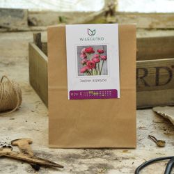 Asijský pryskyřník - Cibule a oddenky - W. Legutko Asijský pryskyřník - Cibule a oddenky - W. Legutko