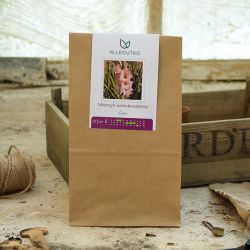 Lizza mečík - Cibule a oddenky - W. Legutko Lizza mečík - Cibule a oddenky - W. Legutko