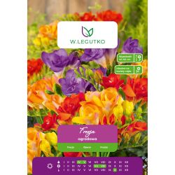 Zahradní frézie - plná - mix - 10 ks. - Cibule a oddenky - W. Legutko Zahradní frézie - plná - mix - 10 ks. - Cibule a oddenky - W. Legutko