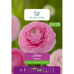 Asijský pryskyřník - růžový - 7 ks. - Cibule a oddenky - W. Legutko Asijský pryskyřník - růžový - 7 ks. - Cibule a oddenky - W. Legutko