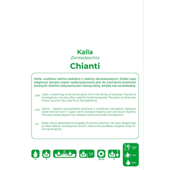 Kalla - Chianti - švestka - 1 ks. - Cibule a oddenky - W. Legutko