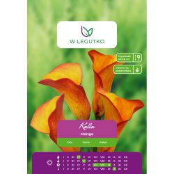 Kalla - Mango - pomeranč - 1 ks. - Cibule a oddenky - W. Legutko Kalla - Mango - pomeranč - 1 ks. - Cibule a oddenky - W. Legutko