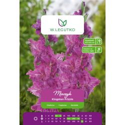 Mečík - Kingston Frizzle - vícekvětý - růžový - 5 ks. - Cibule a oddenky - W. Legutko Mečík - Kingston Frizzle - vícekvětý - růžový - 5 ks. - Cibule a oddenky - W. Legutko