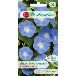 Tricolored Wolf - Heavenly Blue - modrá - Semena - W. Legutko