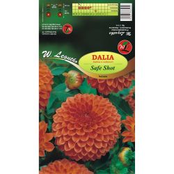 Zahradní jiřina - Safe Shot - kulovitá - medová - 1 ks. - Cibule a oddenky - W. Legutko