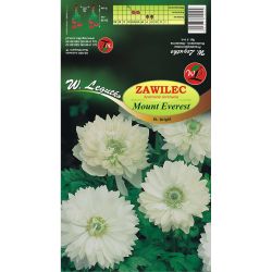Sasanka - Mount Everest - sv. Brigid - bílá - 8 ks. - Cibule a oddenky - W. Legutko Sasanka - Mount Everest - sv. Brigid - bílá - 8 ks. - Cibule a oddenky - W. Legutko