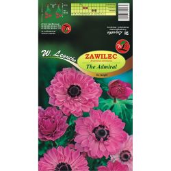 Sasanka - Admirál - St. Brigid - růžová - 8 ks. - Cibule a oddenky - W. Legutko Sasanka - Admirál - St. Brigid - růžová - 8 ks. - Cibule a oddenky - W. Legutko