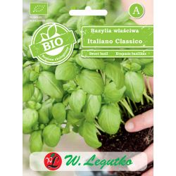 Zelená bazalka - Italiano Classico - Semena - W. Legutko