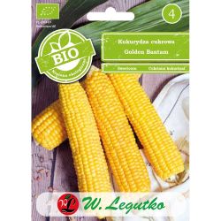 Kukuřice - sladká - Golden Bantam - Semena - W. Legutko Kukuřice - sladká - Golden Bantam - Semena - W. Legutko