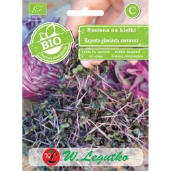 Semena na klíčky - hlavní zelí - Červené - Semena - W. Legutko Semena na klíčky - hlavní zelí - Červené - Semena - W. Legutko