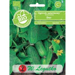Salátová polní okurka - Huňatý dárek - Semena - W. Legutko