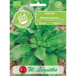Špenát - Winterreuzen - Semena - W. Legutko