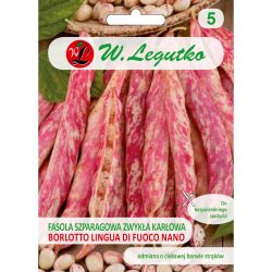 Zelené fazolky - Borlotto lingua di fuoco nano - Semena - W. Legutko