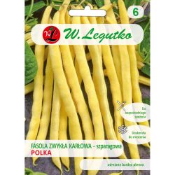 Trpasličí zelené fazolky - polské - Semena - W. Legutko