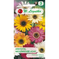 Arktotis - Medvědí ucho - mix - Semena - W. Legutko Arktotis - Medvědí ucho - mix - Semena - W. Legutko