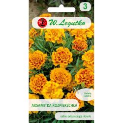 Měsíček lékařský - rozptýlený - královna Žofie - Semena - W. Legutko