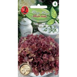 Salát - list - Lollo Rossa - Semena - W. Legutko