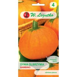 Obří dýně - Bambino - Semena - W. Legutko