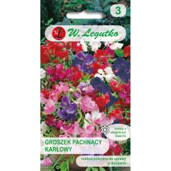 Sladký hrášek - směs trpaslíků - Semena - W. Legutko