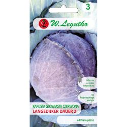 Červené hlávkové zelí - Langedijker Dauer 2 - Semena - W. Legutko