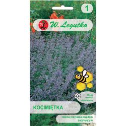 Catnip - modrá a fialová - Semena - W. Legutko