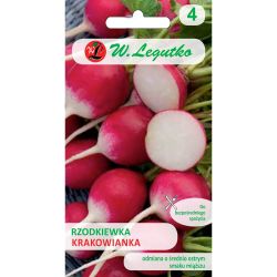 Kulatá ředkev - Krakowianka - Semena - W. Legutko