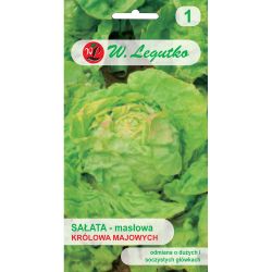 Hlávkový salát - Král Máje - Semena - W. Legutko