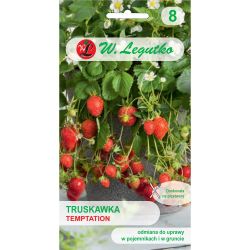 Jahoda - Pokušení - Semena - W. Legutko