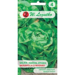 Máslový salát - Meraviglia d`inverno - Semena - W. Legutko