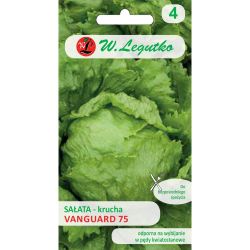 Křupavý ledový salát - Vanguard 75 - Semena - W. Legutko